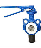 C.S P.T.F.E Line Butterfly Valve.jpg