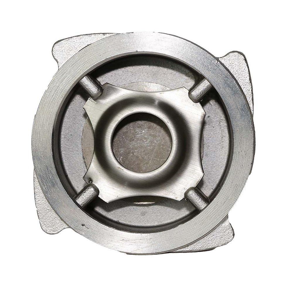 Thumbnail: S.S Non Slam Non Return Valve