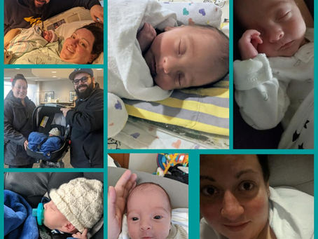 Happy 2nd Birthday Grey!