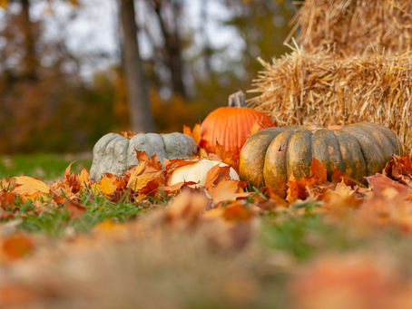 6 Things To Do In The Hamptons This Fall