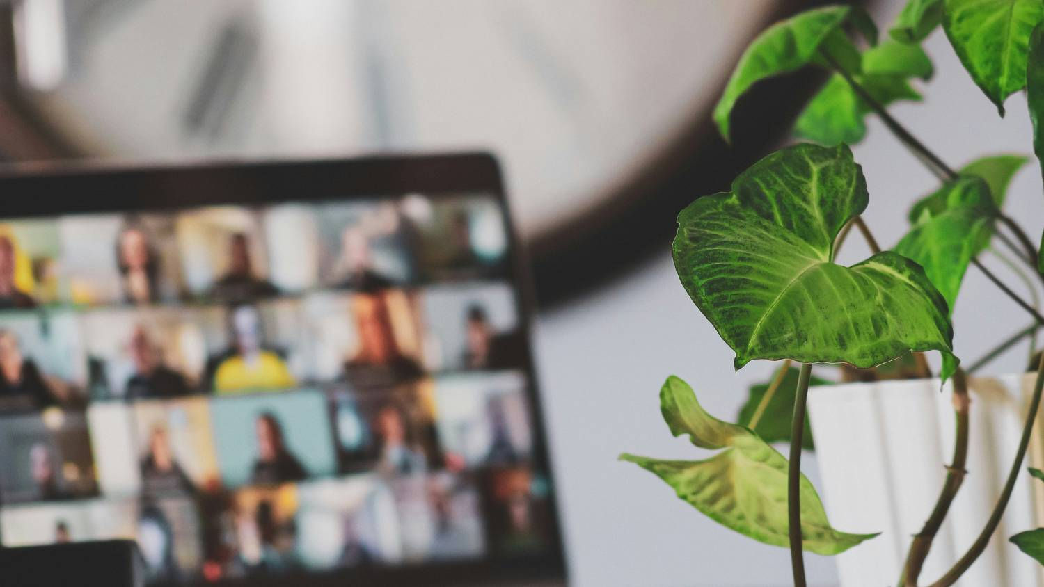 grup-felsefi-mentorluk