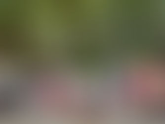 Ağaçlıklı bahçede, gülümseyen bir grup yetişkin yan yana ve diz çökmüş halde toplu fotoğraf veriyor. SOPHIA 2022, İstanbul Türkiye
