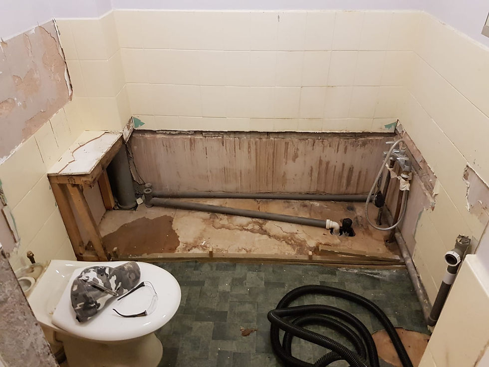 Shower room before