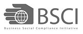 bsci-audit-500x500_edited.jpg
