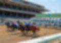 Del Mar's Horse Racing 2025 Season