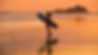 surfer new