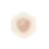 Body Box website asset (3).png