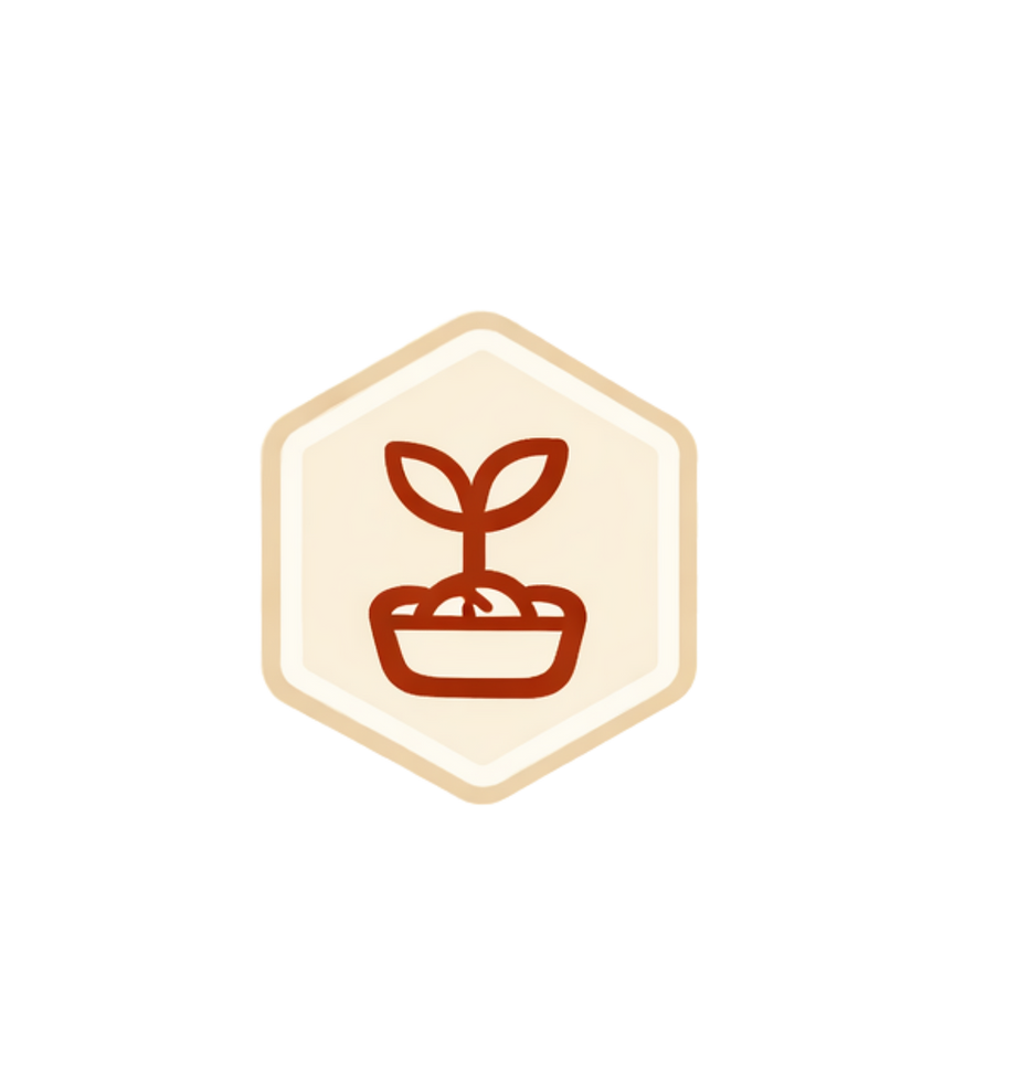 Body Box website asset (5).png