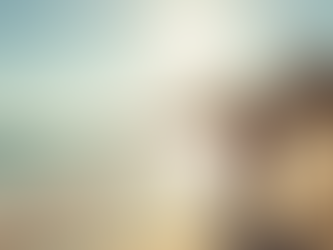 Ultimate Guide to Wedding Planning in Sydney