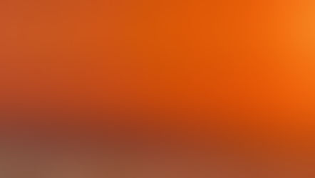 All Portugal News 04.10.2025