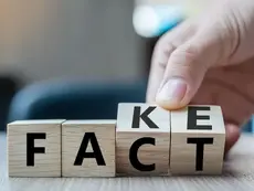 AI Innovation from Portugal Tackles the Disinformation Crisis