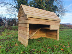 Chicken Shelter 1