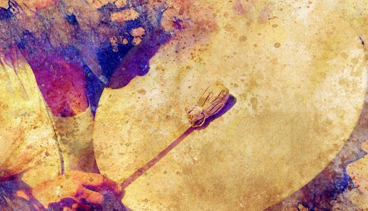 Monthly Shamanic Journeying for Healing & Guidance