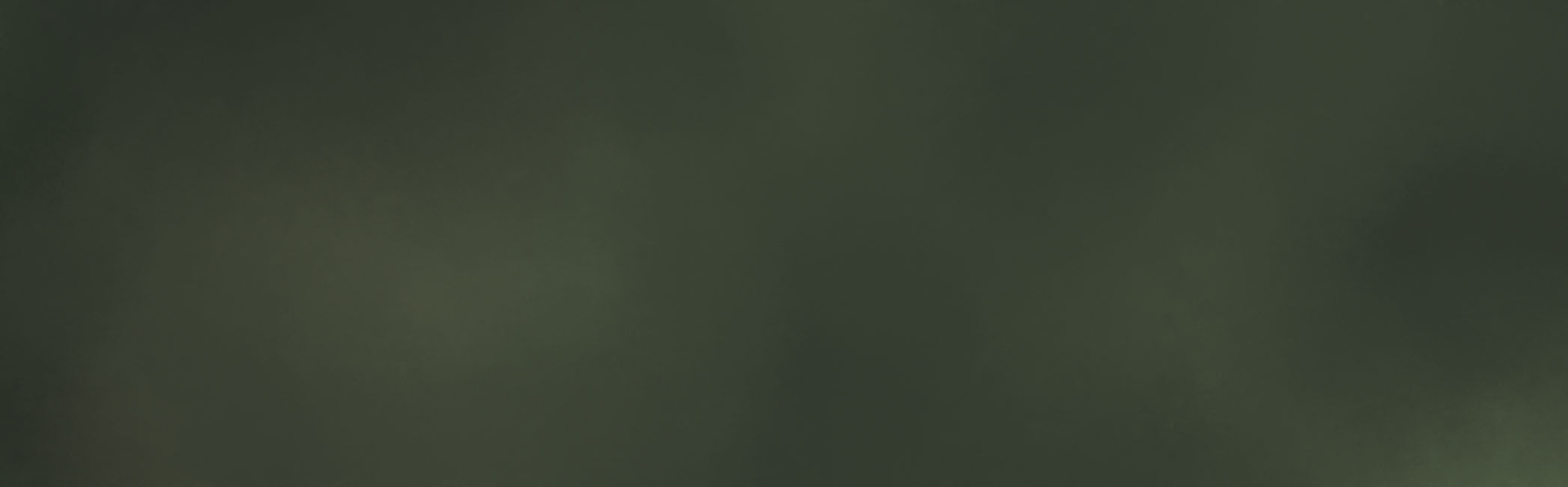 header2.jpg