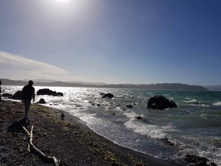 #NewZealand sun