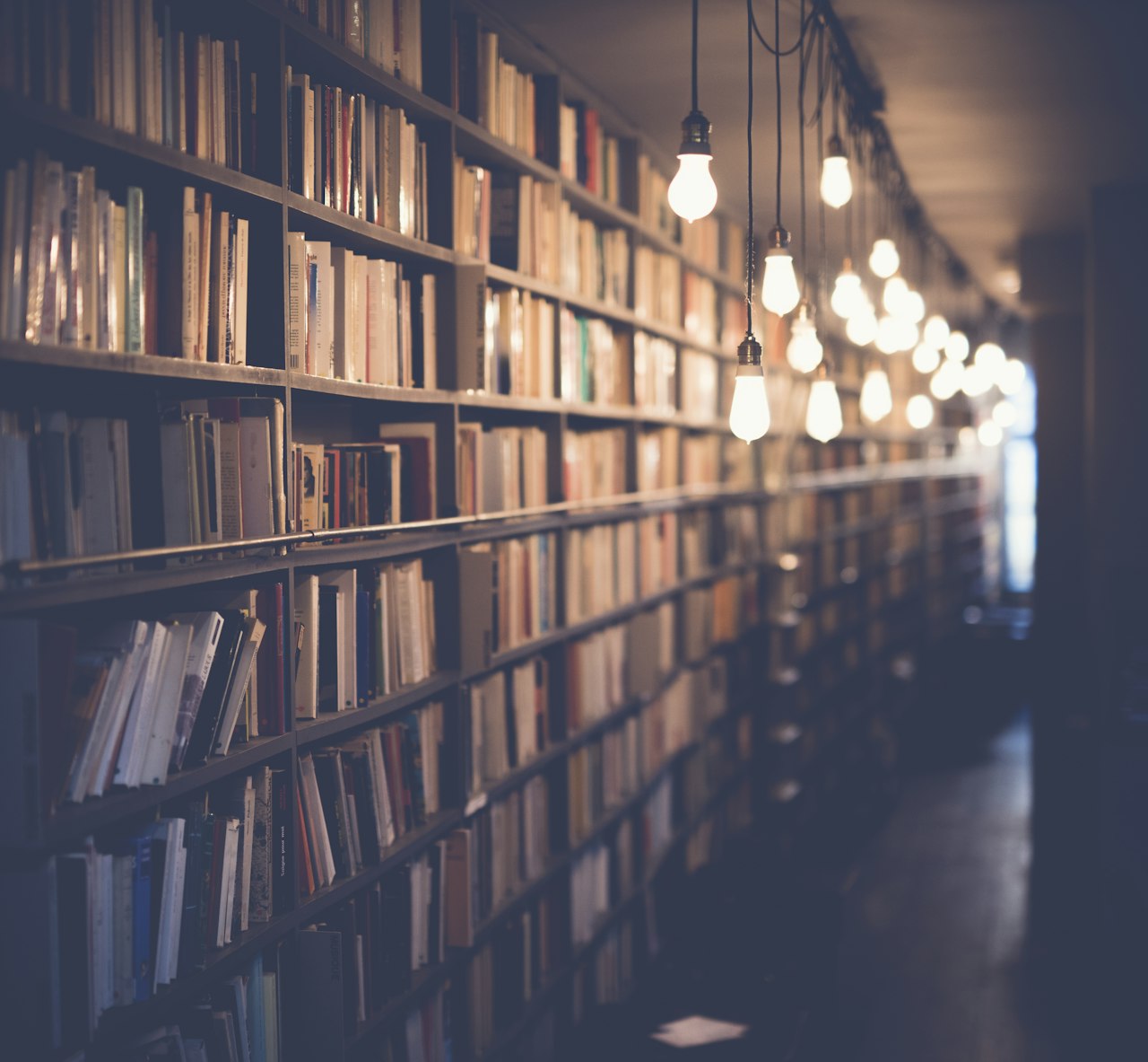 Long library aisle with tall bookshelves and hanging bulbs, softly lit in warm tones, creating a quiet, cozy mood.