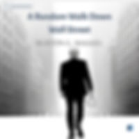 A Random Walk Down Wall Street by BURTON G. MALKIEL audio book sumamry cover on bookdio.org in Money & Investments