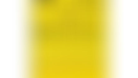 Book Summary: You Are a Badass How to Stop Doubting Your Greatness and Start Living an Awesome Life by JEN SINCERO