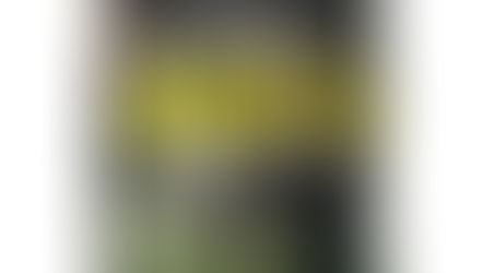 Book Summary: The Wall of Winnipeg and Me by MARIANA ZAPATA