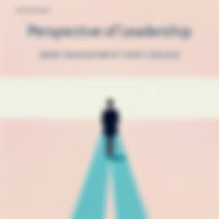 Perspective of Leadership by ARMY MANAGEMENT STAFF COLLEGE audio book sumamry cover on bookdio.org in Leadership