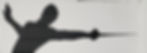 fencing3.jpg
