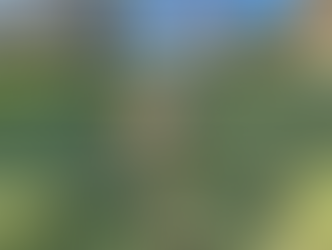 Oliver | Corgi | Whittier, CA | In-Training