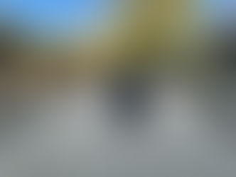 Nova | German Shepherd Mix | Edwards, CA | In-Training