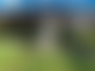 Sheeba | American Akita | Azusa, CA | In-Training