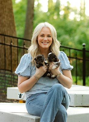 Fluffy French Bulldogs held by owner