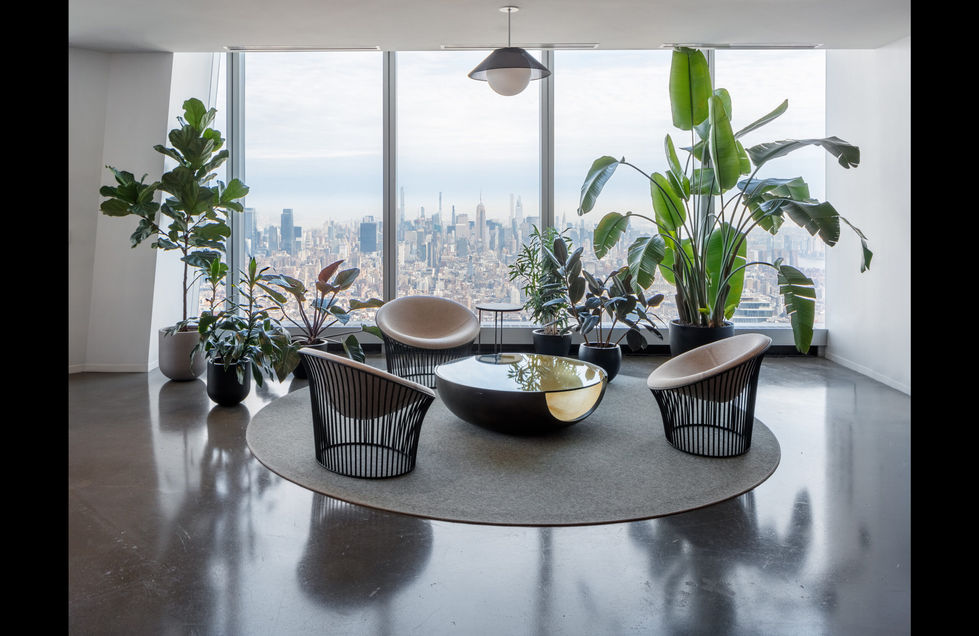 Greenery Warsaw zieleń rośliny do biura