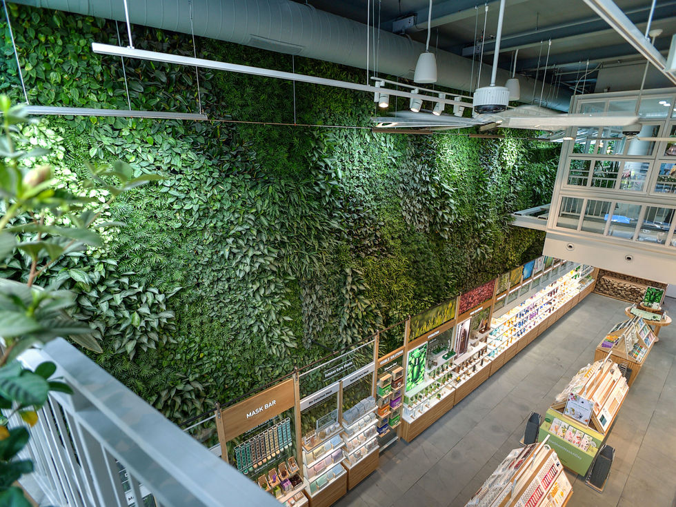 Greenery Warsaw zieleń rośliny do biura zielona ściana green wall vertical garden