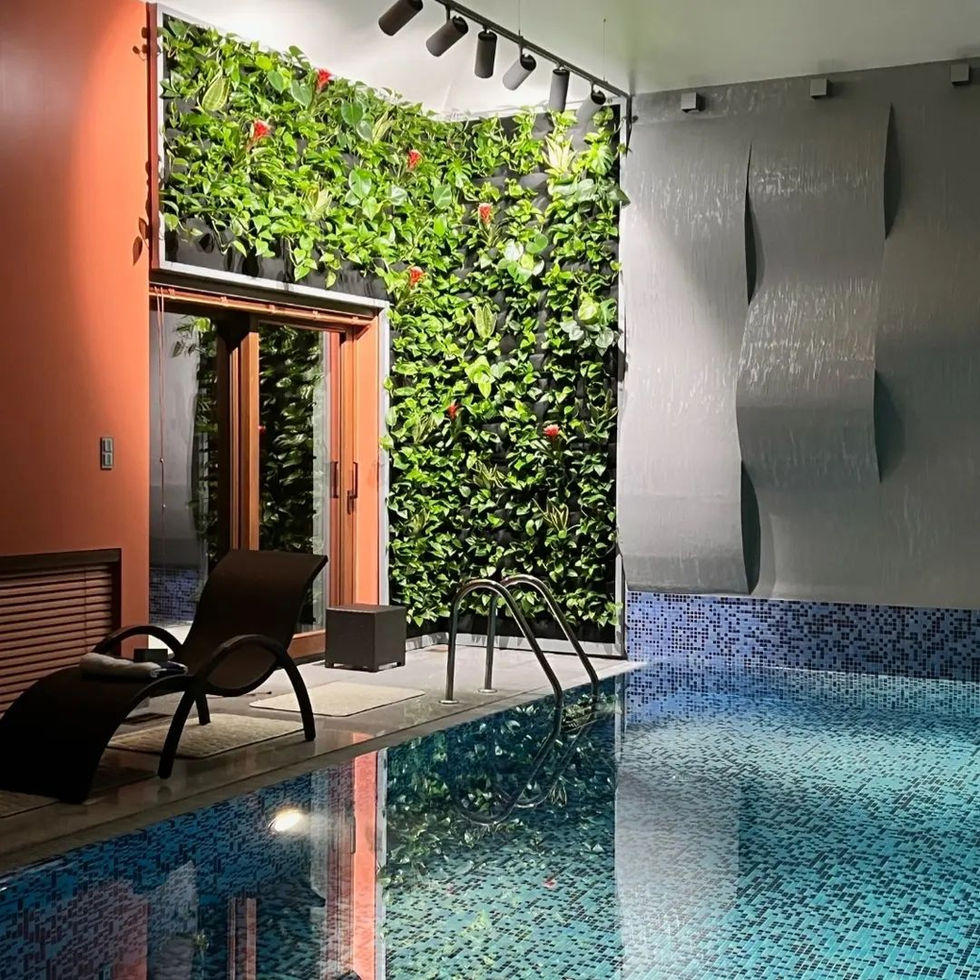 Greenery Warsaw zieleń rośliny do biura zielona ściana green wall vertical garden