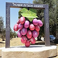 591593_L.jpg