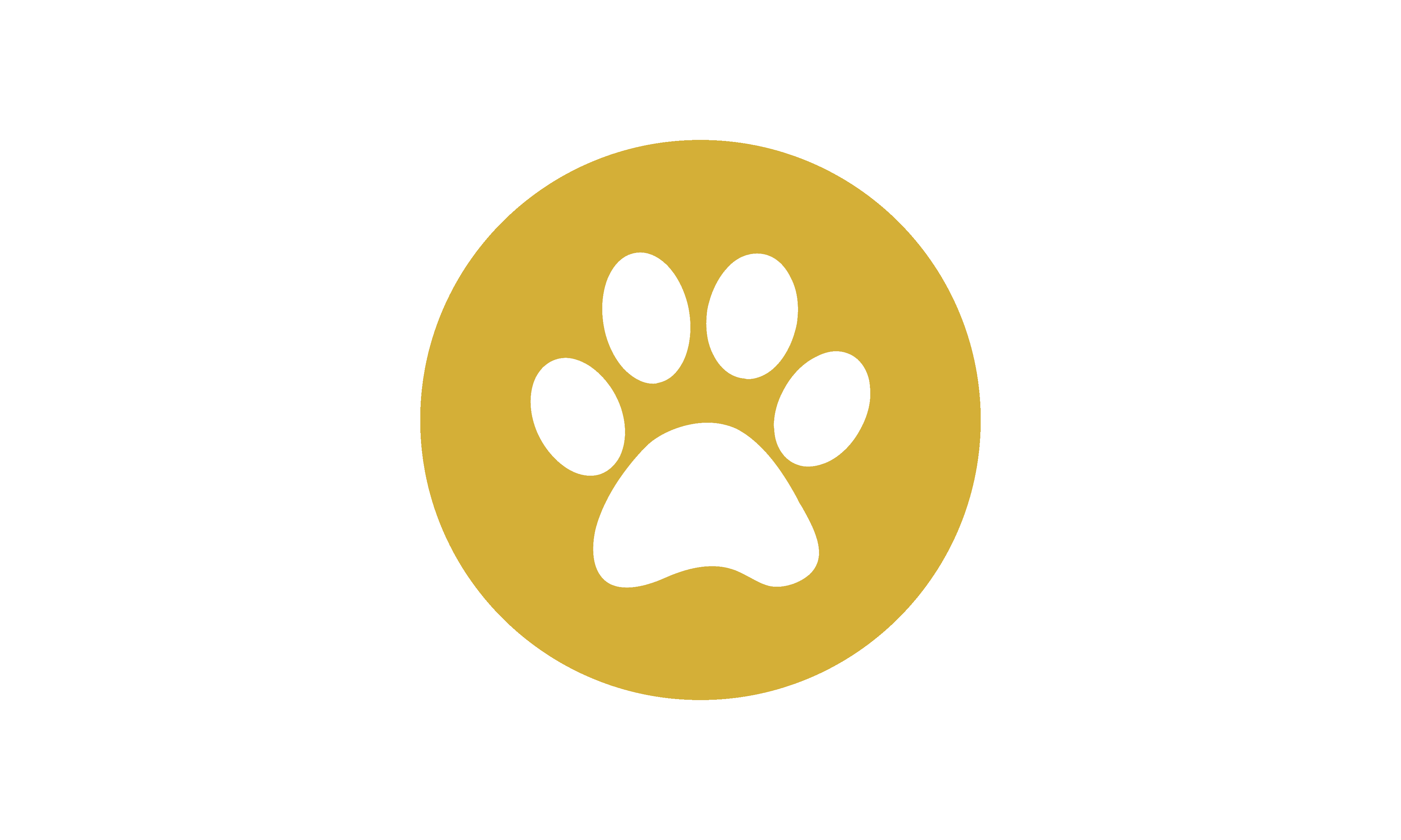 yello_.png