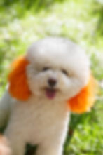 iStock-502009012.jpg