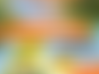 Traidhos Junior Summer Day Camp :  Exploring Our Natural Environment #2 (15 – 19 June 2026) Age 4-8