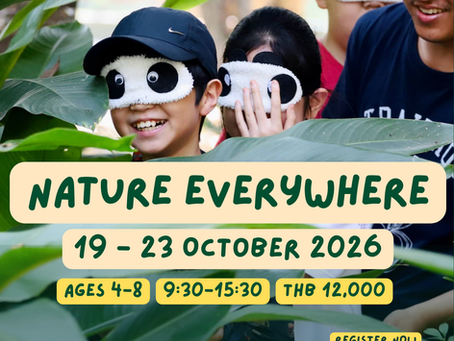 Traidhos Junior Winter Day Camp : Nature Everywhere Camp (19-23 October 2026)