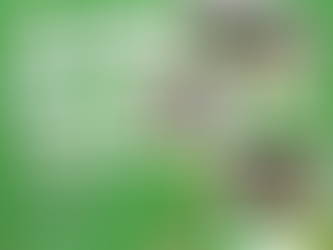 Traidhos English Camp (A, B, C) 2026 (Residential Program)