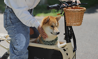 Doggie Original | E-CarryBike Doggie
