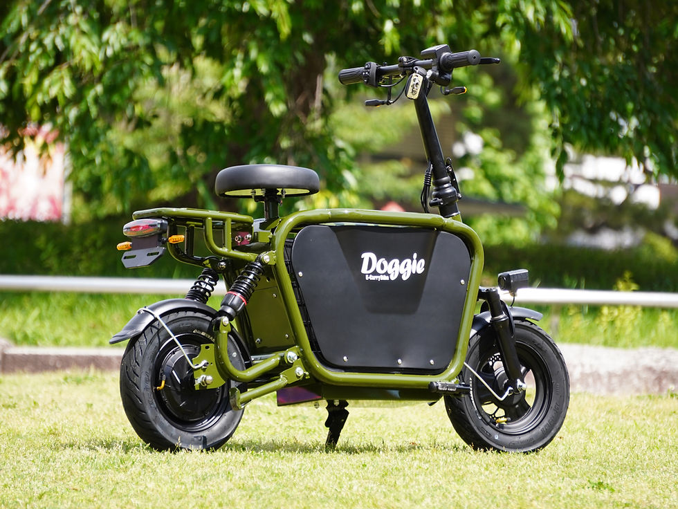 Thumbnail: E-CarryBike Doggie　本体　グリーン