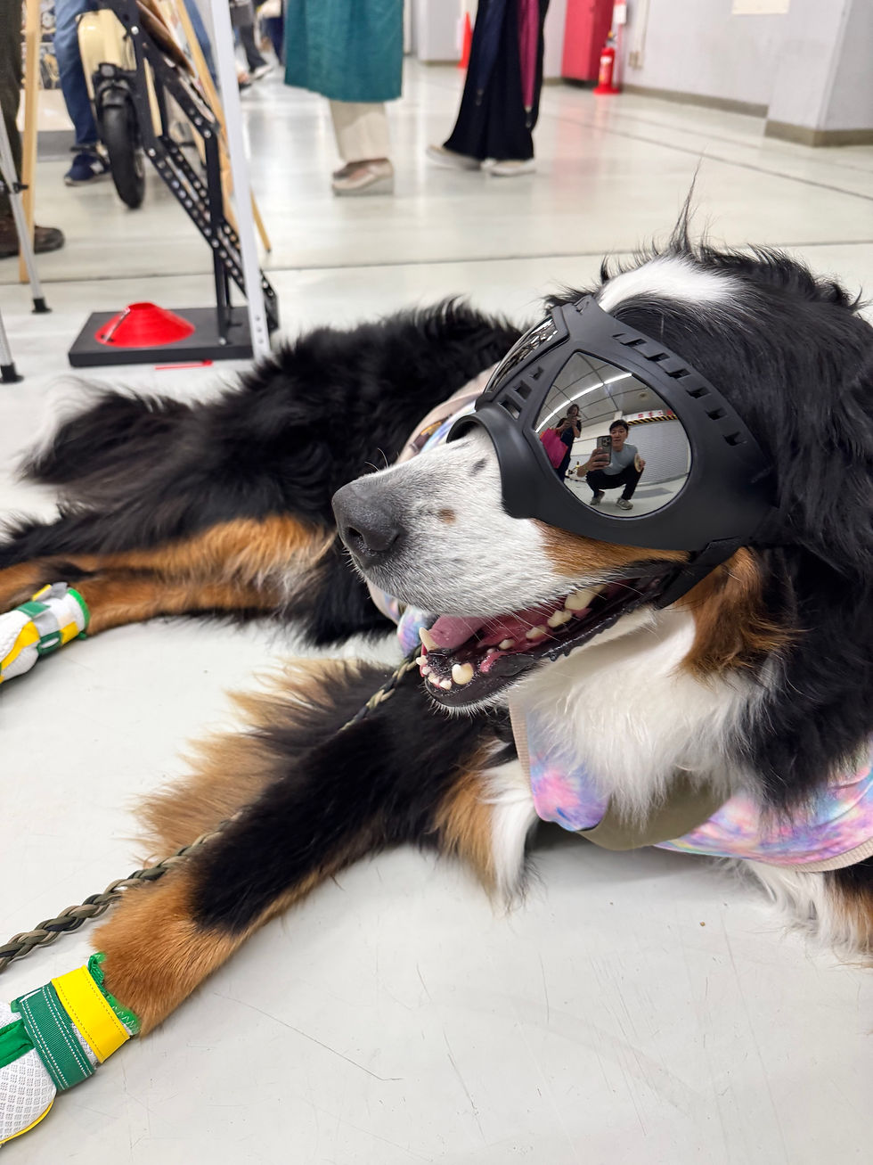 サムネイル： ライダーゴーグル