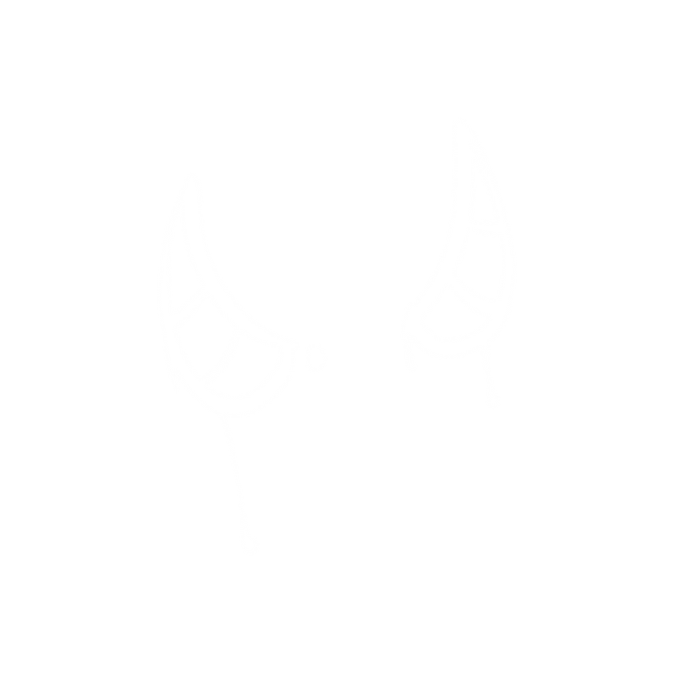 19.png