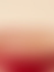 Jelly style visual trend: translucent and glossy textures inspiring trend design topics.