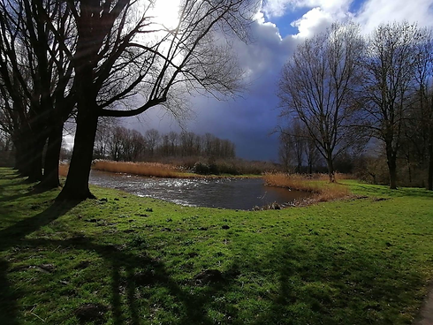 The beautiful seaside town of Oostkapelle has it all. Beach, dunes, forest and green pastures