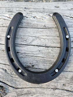 Lucky horseshoe