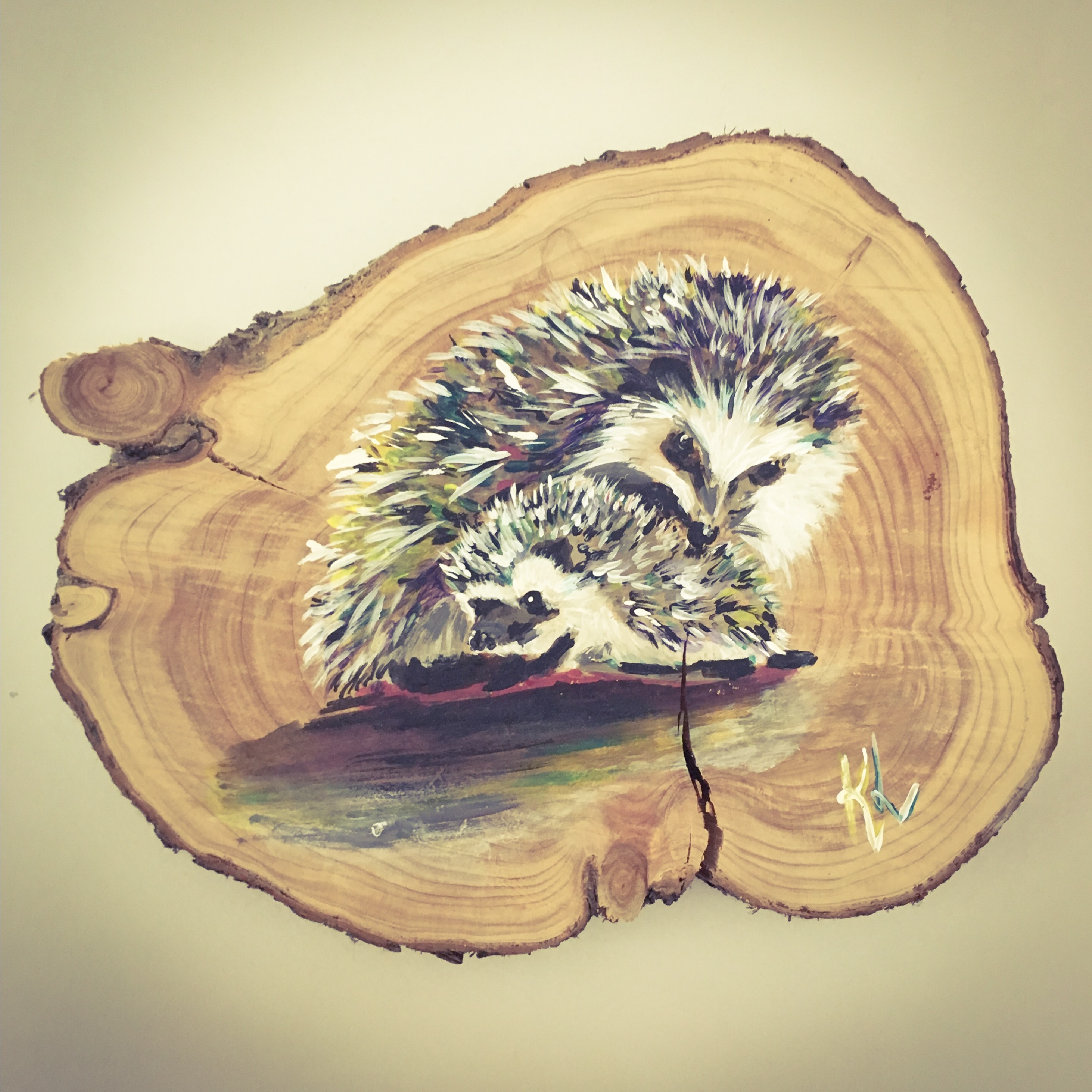 Loving Hedgehogs