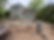IMG_3495.jpeg