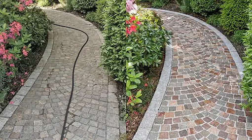 vorher nachher roger Rundweg.webp