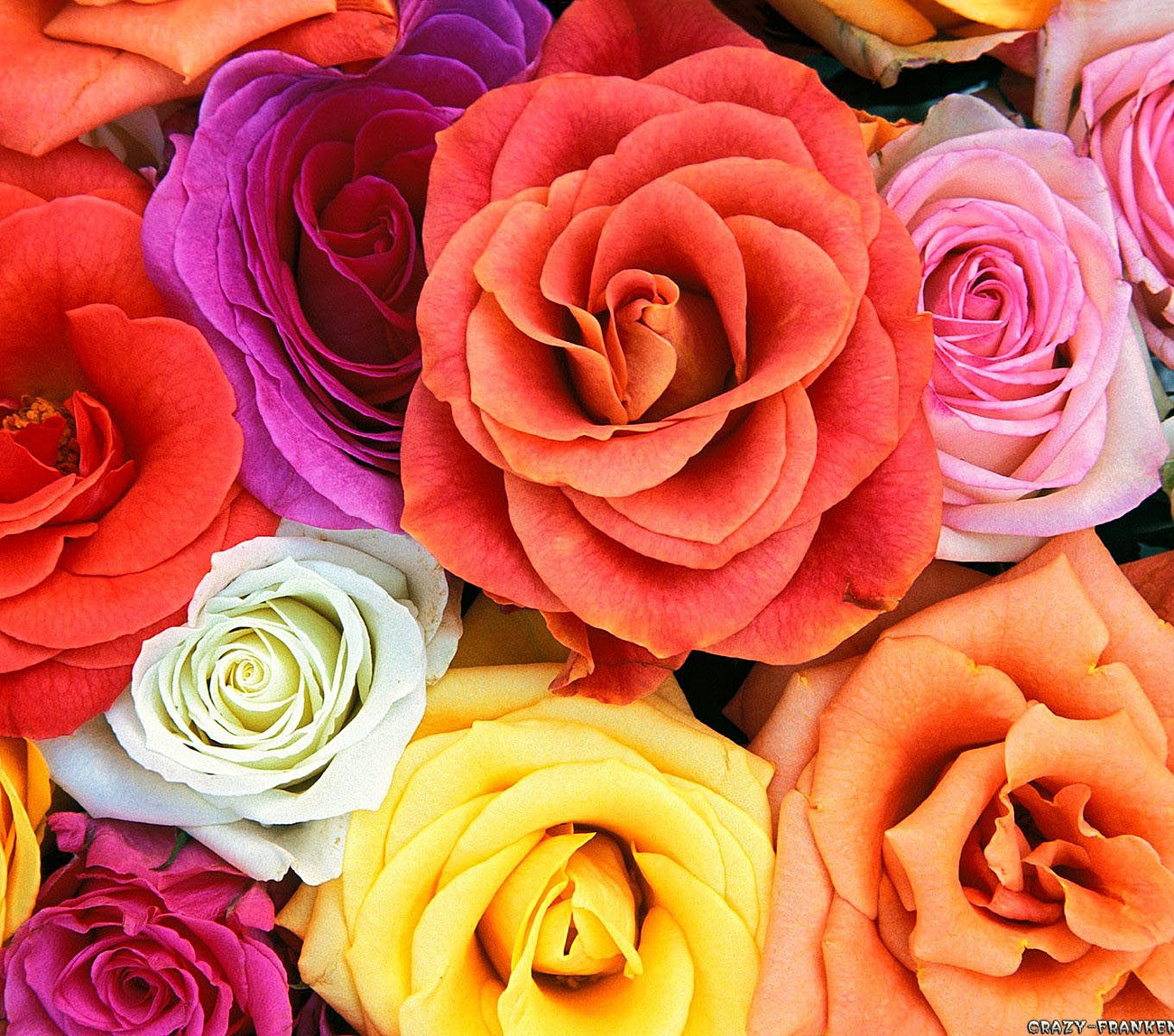 Aleeya florist and gifts  PERKHIDMATAN