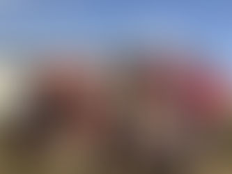 Championnats régionaux 2022